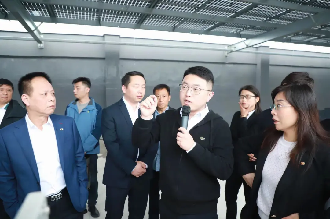 1720061343817403.jpg 04.jpg