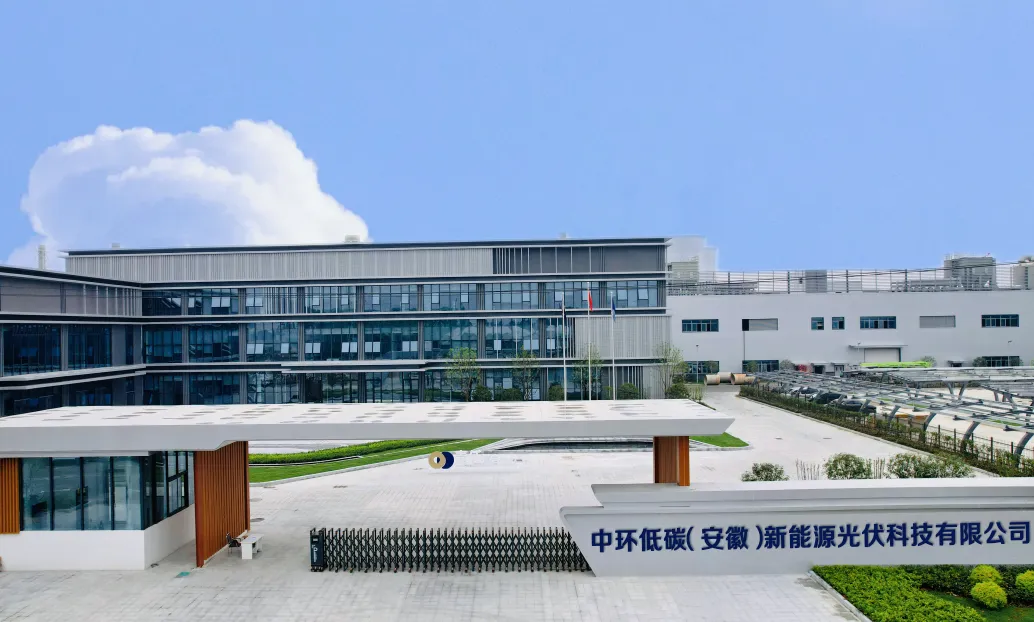 1728437102967320.jpg 3.jpg