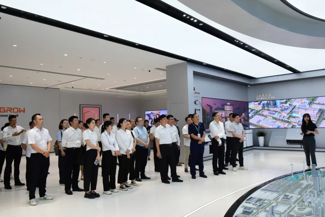 1728439060307997.jpg 10.jpg