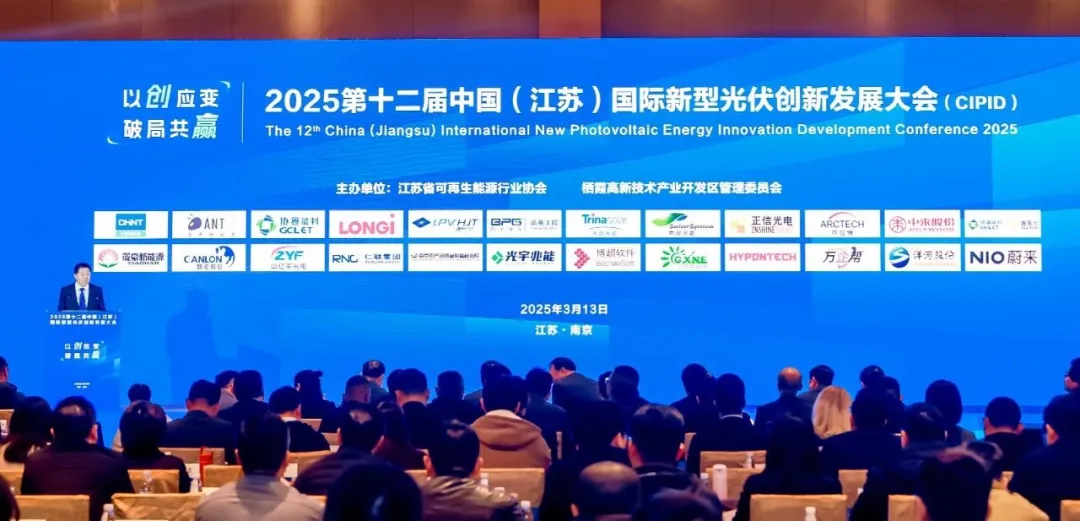 1744013360953968.jpg 01.jpg