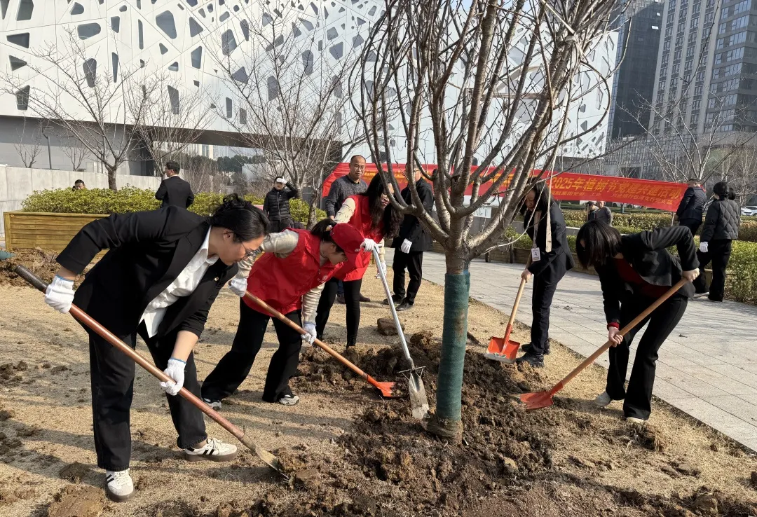 1744013578284366.jpg 05.jpg