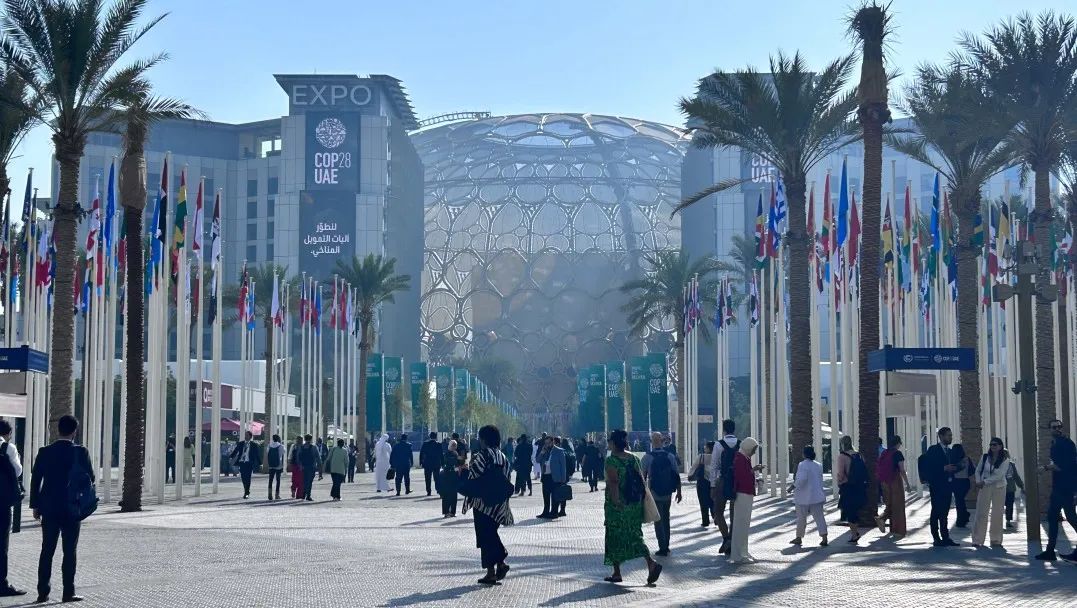 COP28聚焦｜联合国舞台上 中环低碳展现中国时搏网页版登录入口创新魅力